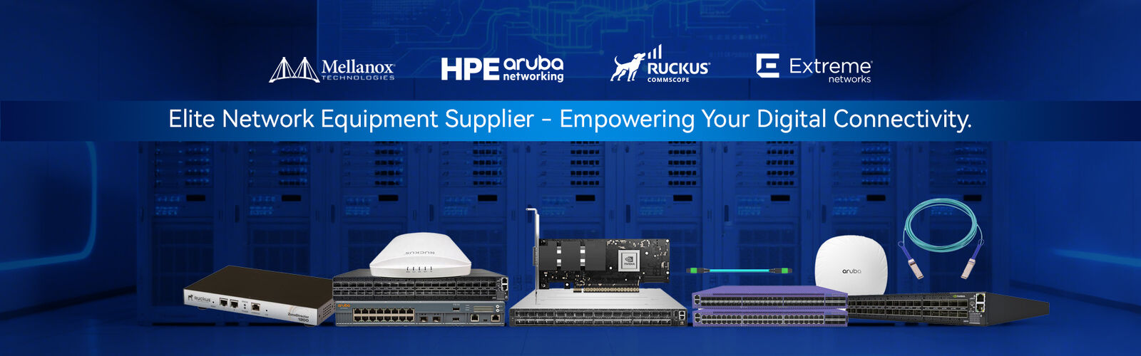 Mellanox-Netzwerkkarte