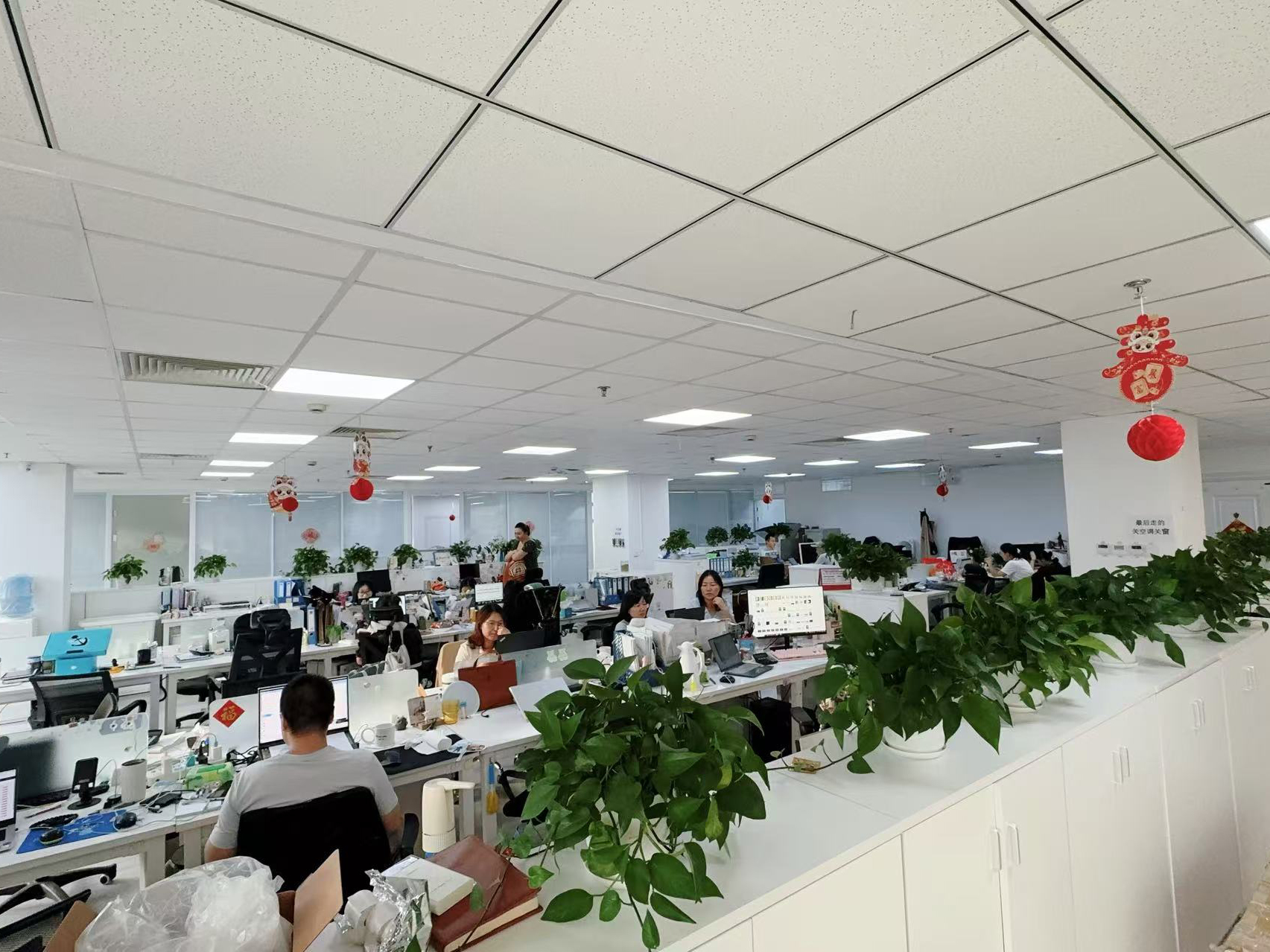 China Hong Kong Starsurge Group Co., Limited Unternehmensprofil