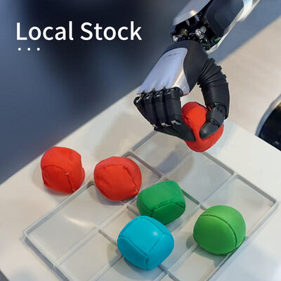 AgiBot Pro/Edu Leistungsstarke Fernbedienung