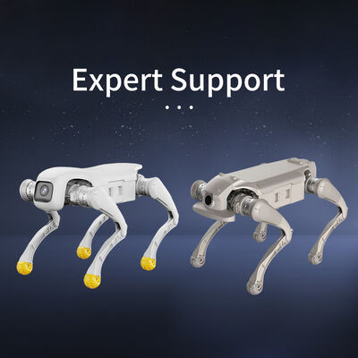 AgiBot Pro/Edu Leistungsstarke Fernbedienung