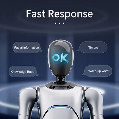 AgiBot G2 Industrie-tauglicher interaktiver Roboter für verkörperte Operationen